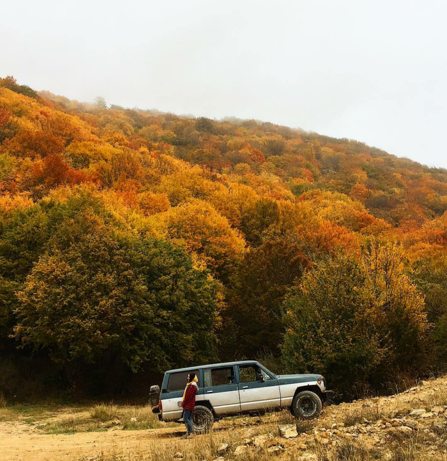 جنگل ابر به شیرین آباد — تصویر 3
