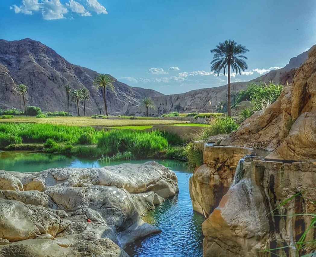 طبس — تصویر 2