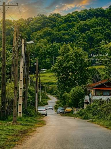 طبیعت گردی و جنگل نارنج کل — تصویر 2