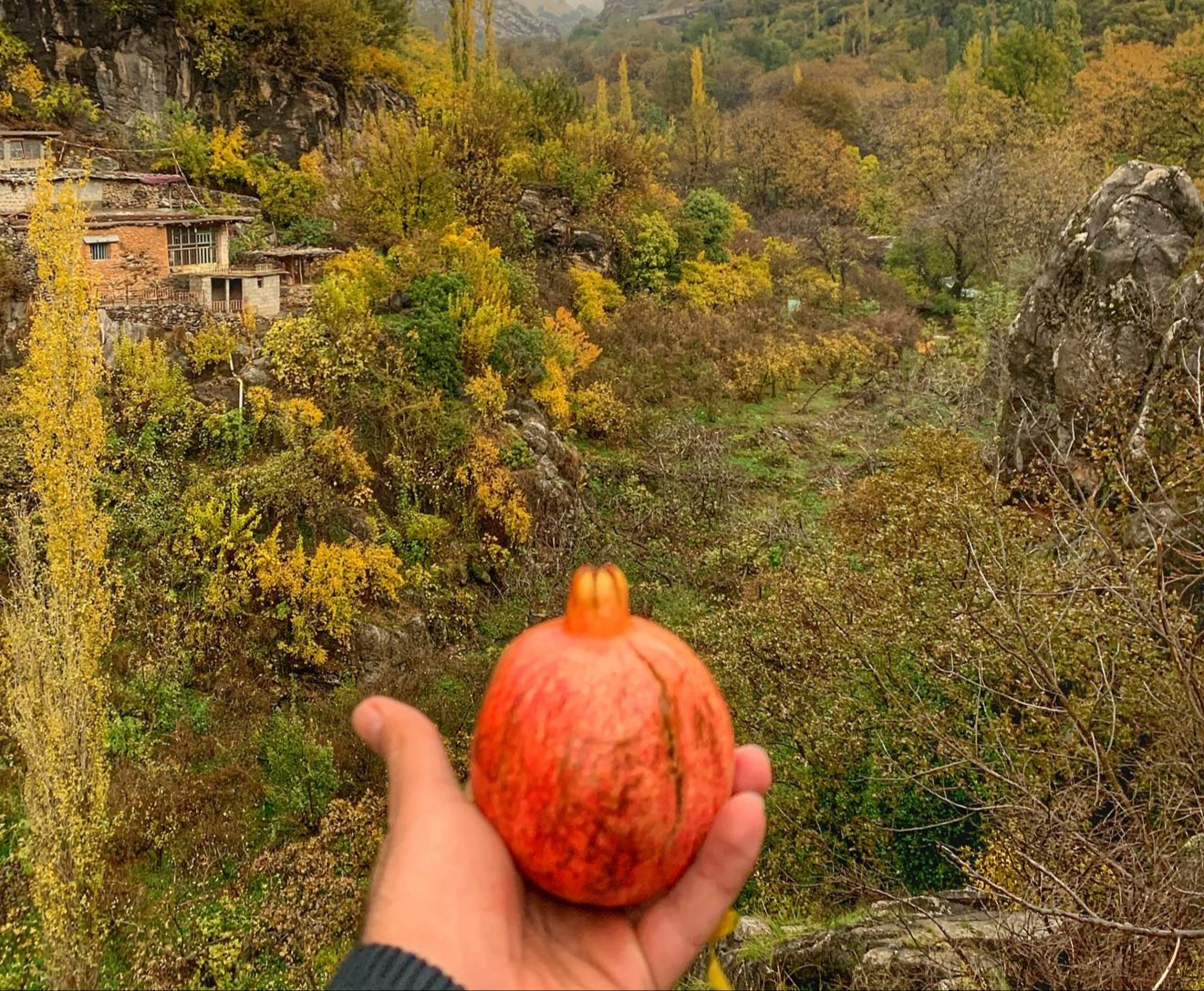 کردستان پاییزی — تصویر 4