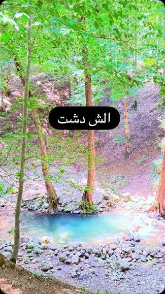 جنگل نصفی رود (پیمایش اختیاری) — تصویر 1